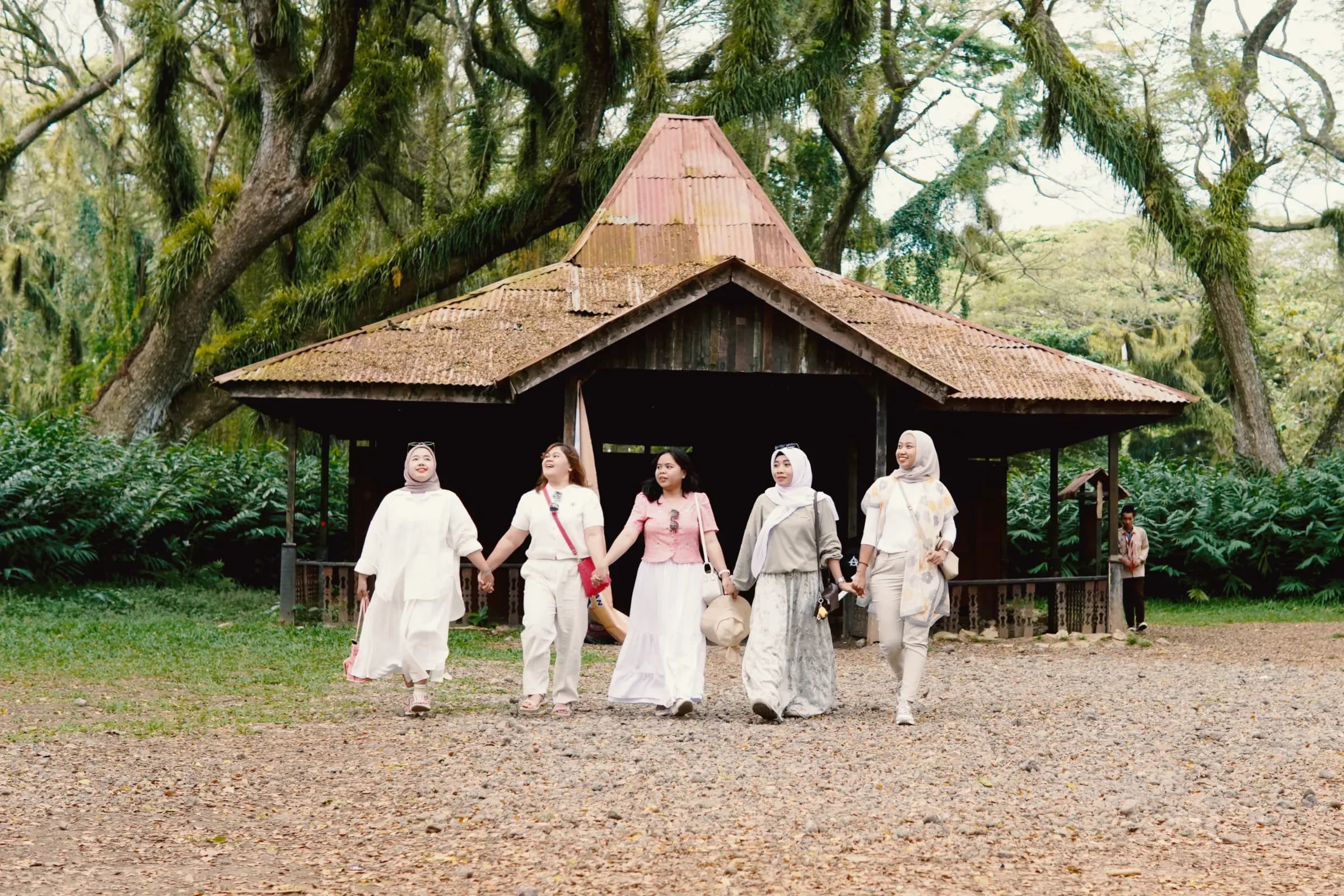 Magisnya Hutan De Djawatan - Holiday Banyuwangi